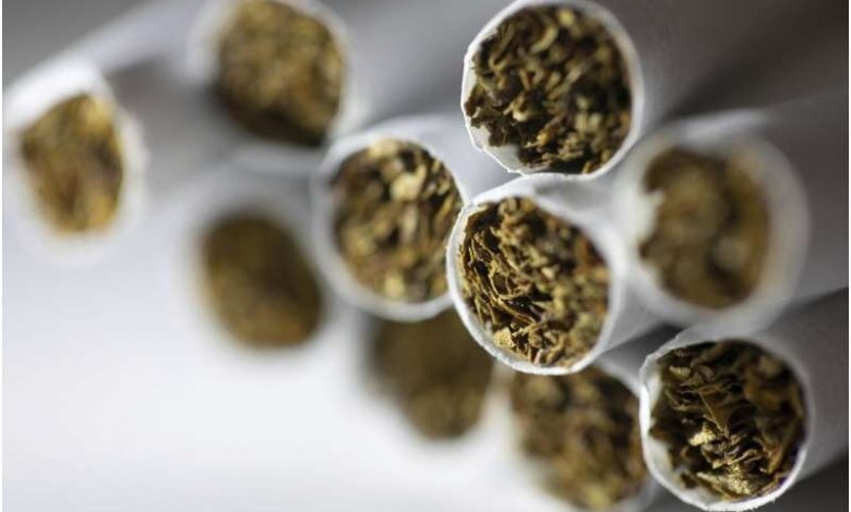 d8a7d8b1d988d9bed8a7 d9bedb8cd8b4d8aad8a7d8b2 d8acd987d8a7d986db8c d985d8b5d8b1d981 d8afd8aed8a7d986db8cd8a7d8aad89b d987d8b4d8afd8a7 69a13fdae6b0f