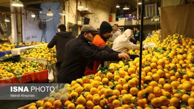 d8a7d985daa9d8a7d986 d8aed8b1db8cd8af daa9d8a7d984d8a7d8a8d8b1daafdb8c d8a7d8b2 d985db8cd8a7d8afdb8cd986 d985db8cd988d987 d988 d8aad8b1 699afa44b875d