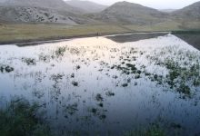 d8aad8a7d984d8a7d8a8 da86daa9d8b1d88c d8a2d8b1d8a7d985d8b4 daafd8b1d985d8b3db8cd8b1db8c d8a8d988d984db8c 6987dc8484c81