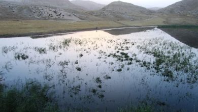 d8aad8a7d984d8a7d8a8 da86daa9d8b1d88c d8a2d8b1d8a7d985d8b4 daafd8b1d985d8b3db8cd8b1db8c d8a8d988d984db8c 6987dc8484c81