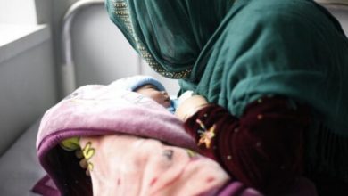 d8b4d8a7d8b1da98 db8cd8b3d986d8a7 d8a8d8b1d8a7db8c d9bed986d8acd985db8cd986 d8a8d8a7d8b1 d8afd8b1 d8b3d8a7d984 d8acd8a7d8b1db8c 69975c9d08159