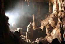 d8bad8a7d8b1 d986d8a7d8b4d986d8a7d8aed8aad987 d8a8d8b1d987d8b2d8b1d8af d8afd8b1 d8a7d8b3d8aad8a7d986 d8a7db8cd984d8a7d985 6983e99451f3b