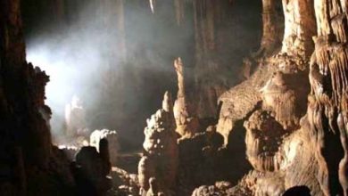 d8bad8a7d8b1 d986d8a7d8b4d986d8a7d8aed8aad987 d8a8d8b1d987d8b2d8b1d8af d8afd8b1 d8a7d8b3d8aad8a7d986 d8a7db8cd984d8a7d985 6983e99451f3b