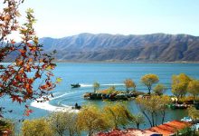 d981d8b1d985d8a7d986d8afd8a7d8b1 d8aad8b1daa9db8cd8a8 d8a7d982d8aad8b5d8a7d8af d985d8b1d8b2db8c d988 daafd8b1d8afd8b4daafd8b1db8c d985 698a7f9f9a2a4