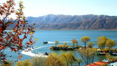 d981d8b1d985d8a7d986d8afd8a7d8b1 d8aad8b1daa9db8cd8a8 d8a7d982d8aad8b5d8a7d8af d985d8b1d8b2db8c d988 daafd8b1d8afd8b4daafd8b1db8c d985 698a7f9f9a2a4