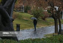 d981d8b9d8a7d984db8cd8aa d8b3d8a7d985d8a7d986d987 d8a8d8a7d8b1d8b4db8c d8afd8b1 d986d988d8a7d8b1 d8bad8b1d8a8db8c daa9d8b4d988d8b1 d8a7 6985914dcb735