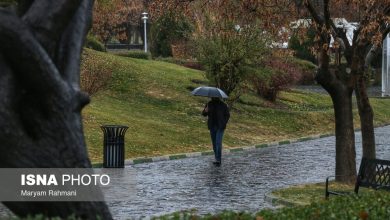 d981d8b9d8a7d984db8cd8aa d8b3d8a7d985d8a7d986d987 d8a8d8a7d8b1d8b4db8c d8afd8b1 d986d988d8a7d8b1 d8bad8b1d8a8db8c daa9d8b4d988d8b1 d8a7 6985914dcb735