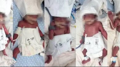 d985d8a7d8afd8b1 d8acd988d8a7d986 da86db8cd986db8c d9bed986d8acd982d984d988 d8a8d987 d8afd986db8cd8a7 d8a2d988d8b1d8af 69a1943900dbc