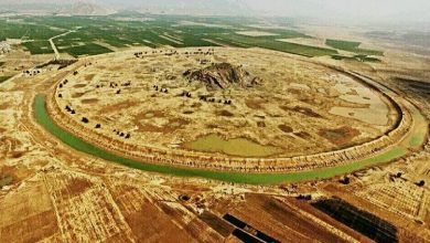 معاون استاندار فارس: نقش دارابگرد در توسعه گردشگری کشور پررنگتر میشود 12 d985d8b9d8a7d988d986 d8a7d8b3d8aad8a7d986d8afd8a7d8b1 d981d8a7d8b1d8b3 d986d982d8b4 d8afd8a7d8b1d8a7d8a8daafd8b1d8af d8afd8b1 d8aad988 698fc5451c894