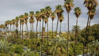 d986d988d8b1d988d8b2 d8a7d985d8b3d8a7d984 d8b1d8a7d987db8c d8acdb8cd8b1d981d8aa d8b4d988db8cd8afd89b d8acd8a7db8cdb8c daa9d987 d8a8d987 699ba37e1ff6a