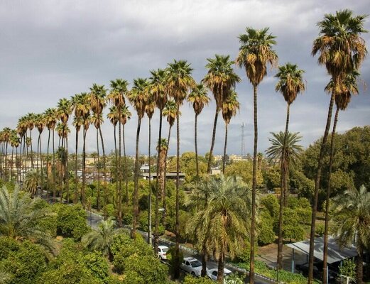 d986d988d8b1d988d8b2 d8a7d985d8b3d8a7d984 d8b1d8a7d987db8c d8acdb8cd8b1d981d8aa d8b4d988db8cd8afd89b d8acd8a7db8cdb8c daa9d987 d8a8d987 699ba37e1ff6a