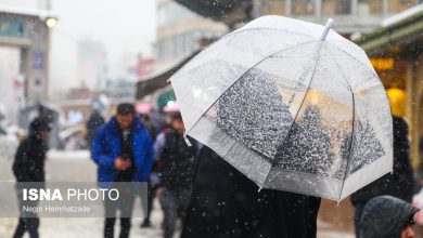 d987d8b4d8afd8a7d8b1 d8a8d8a7d8b1d8b4 d8a8d8b1d981 d988 d8a8d8a7d8b1d8a7d986 d8afd8b1 d8aad987d8b1d8a7d986 daa9d8a7d987d8b4 d8afd985 69832d60eb8b4