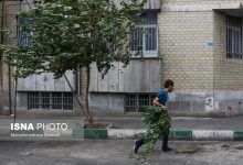 d987d8b4d8afd8a7d8b1 d988d8b2d8b4 d8a8d8a7d8af d8b4d8afdb8cd8af d8afd8b1 d8aad987d8b1d8a7d986 6996ec2a4111b