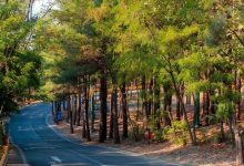 daa9d8a7d8b4d8aa dbb2dbb5 d987d8b2d8a7d8b1 d8a7d8b5d984d987 d8afd8b1d8aed8aa d8afd8b1 d8a8d988d8b3d8aad8a7d986 d8acd986daafd984db8c da86 69836b32a1ca9