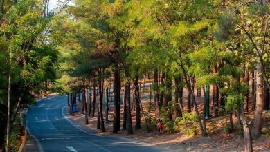 daa9d8a7d8b4d8aa dbb2dbb5 d987d8b2d8a7d8b1 d8a7d8b5d984d987 d8afd8b1d8aed8aa d8afd8b1 d8a8d988d8b3d8aad8a7d986 d8acd986daafd984db8c da86 69836b32a1ca9