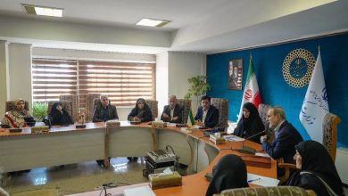 کاهش سهم خانواده در جامعه و افزایش آسیبهای اجتماعی زنان و خانواده 4 daa9d8a7d987d8b4 d8b3d987d985 d8aed8a7d986d988d8a7d8afd987 d8afd8b1 d8acd8a7d985d8b9d987 d988 d8a7d981d8b2d8a7db8cd8b4 d8a2d8b3db8cd8a8 699f0ade47381