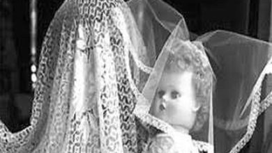 daa9d988d8afdaa9d987d985d8b3d8b1db8c d8a7d8b2 d8b2d8a8d8a7d986 d8afd8aed8aad8b1d8a7d986db8c daa9d987 d8b2d988d8af d8a8d8b2d8b1 6993683f70dcc